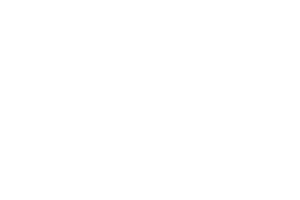 LA Limo